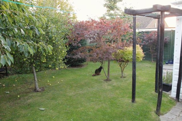  Image of 3 Bedroom Semi-Detached for sale at Cygnet Walk  Bognor Regis, PO22 9LY
