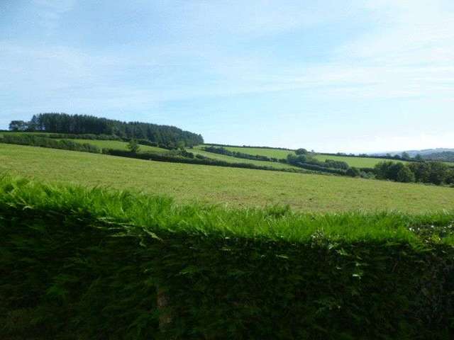  Image of 3 Bedroom Detached to rent at Holne Newton Abbot, TQ13 7RT