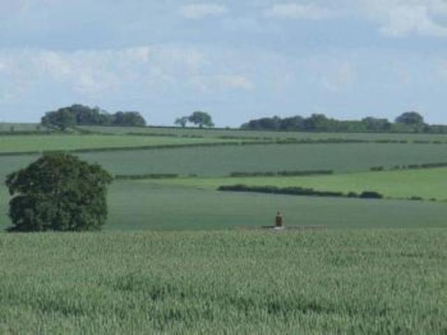  Image of 4 Bedroom Detached  For Sale at Silver Street  Benniworth, LN8 6JR