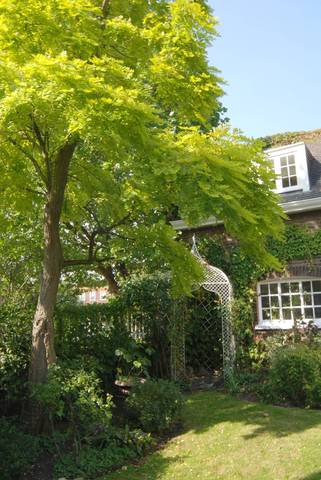 Image of 3 Bedroom Detached  For Sale at Chesterfield Walk  Greenwich, SE10 8HJ