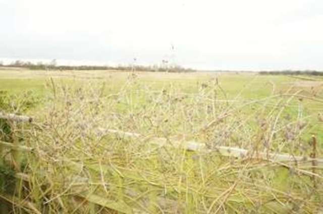  Image of 3 Bedroom Bungalow  For Sale at Curlew Close  Peterborough, PE7 1XQ