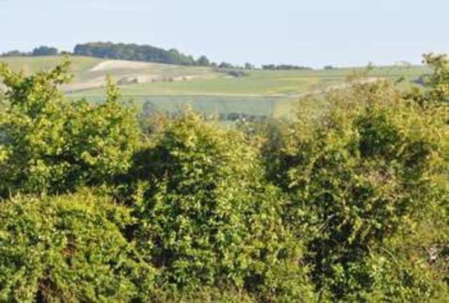  Image of 4 Bedroom Detached  For Sale at Low Lane  Calne, SN11 8EQ