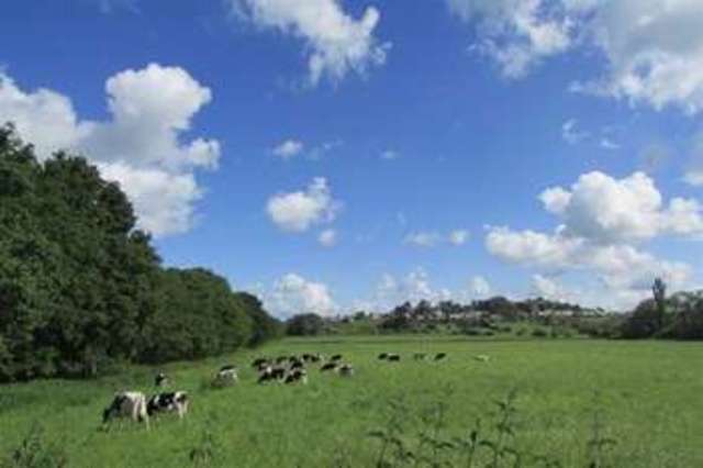  Image of 3 Bedroom Terraced  For Sale at Street, BA16 0AG