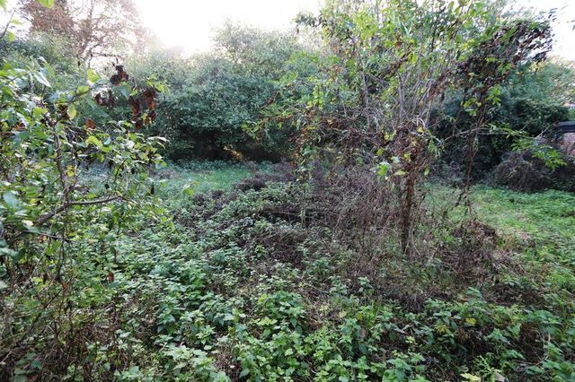  Image of Property  For Sale at The Street Gazeley Newmarket, CB8 8RB
