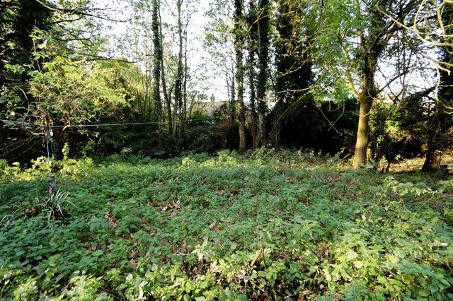  Image of Property  For Sale at The Street Gazeley Newmarket, CB8 8RB