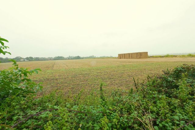  Image of 5 Bedroom Detached  To Rent at 39 New Road  Shillingford, OX10 7ED