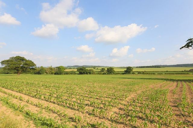  Image of 3 Bedroom Cottage for sale at Golding Shrewsbury, SY5 7HJ