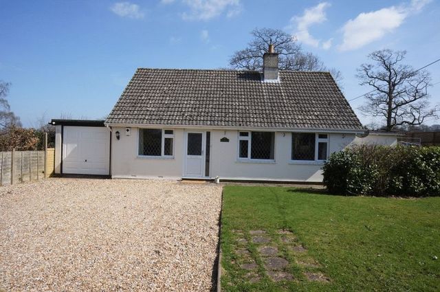  Image of 3 Bedroom Bungalow to rent at Holt End Lane Bentworth Alton, GU34 5LD