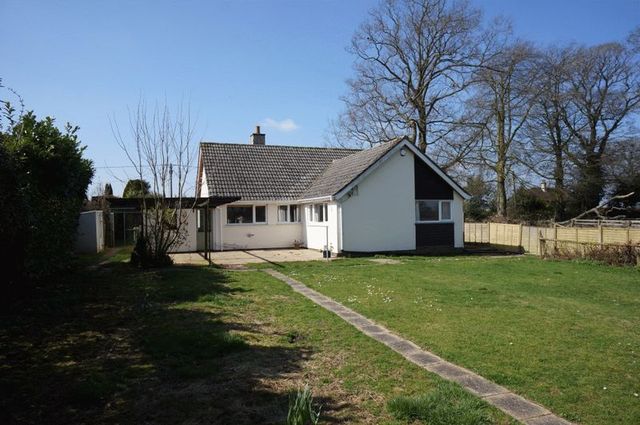  Image of 3 Bedroom Bungalow to rent at Holt End Lane Bentworth Alton, GU34 5LD