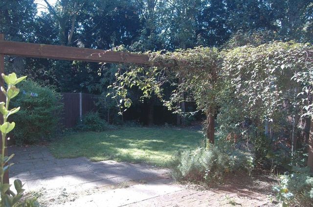  Image of House Share to rent at Rowan Place  Colchester, CO1 1AJ