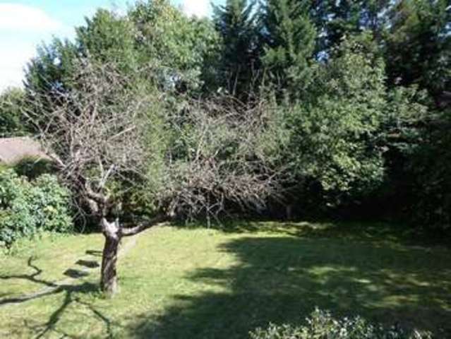  Image of 5 Bedroom Detached to rent at Coulsdon, CR5 2BL