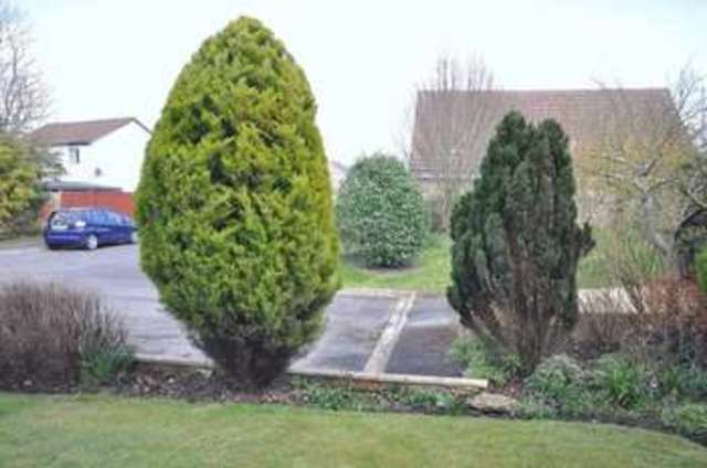  Image of 4 Bedroom Detached for sale at The Copse  Frome, BA11 2TE