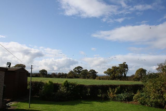  Image of 3 Bedroom Semi-Detached for sale at Beachin Lane Coddington Chester, CH3 6LZ