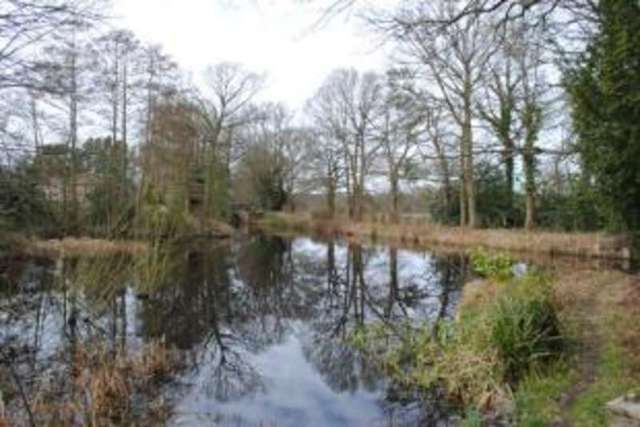  Image of 3 Bedroom Semi-Detached for sale at Brookwood Woking Brookwood, GU24 0HE