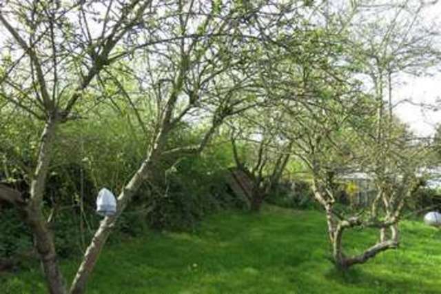  Image of 3 Bedroom Property to rent at Clay Green Worcestershire Worcestershire, WR6 5HJ