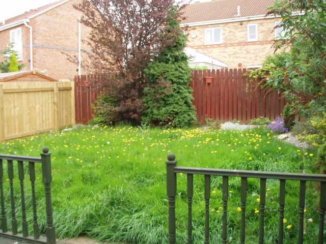  Image of 3 Bedroom Semi-Detached to rent at Victoria Dock  Hull, HU9 1PL