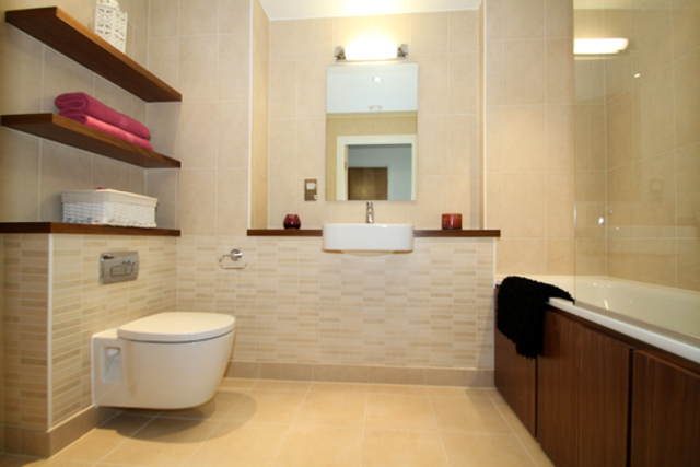  Image of 1 Bedroom Apartment to rent at Halo Tower  London, E15 2FW