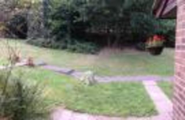  Image of 2 Bedroom Terraced to rent at Bagshot, GU19 5QP