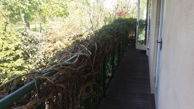  Image of 3 Bedroom Detached to rent at Fishers Close Streatham London, SW16 1JN