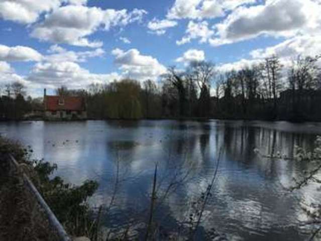  Image of House Share to rent at Bourne Road  Colchester, CO2 8RS