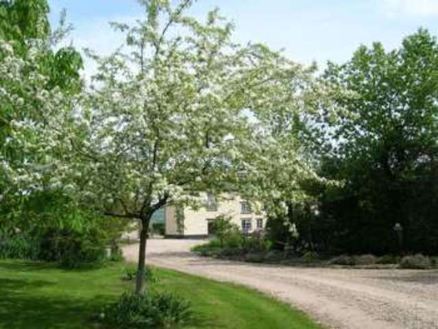  Image of 6 Bedroom Property for sale at Northload Lane Theale Wedmore, BS28 4SY