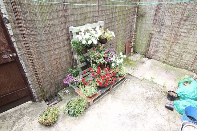  Image of 3 Bedroom Terraced for sale at Micklefield Road  Liverpool, L15 5BT