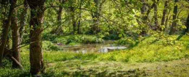  Image of 3 Bedroom Semi-Detached for sale at Cheriton Bishop Exeter, EX6 6HD