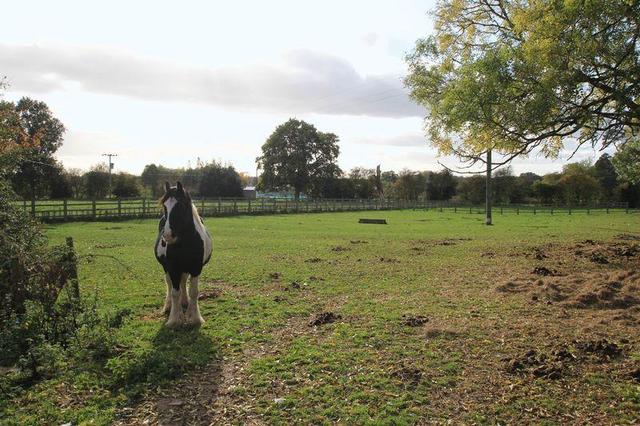  Image of 6 Bedroom Character for sale at Church Eaton Road, Haughton, Stafford.