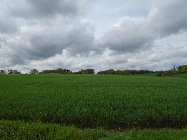  Image of 4 Bedroom Semi-Detached to rent at LITTLE HADHAM