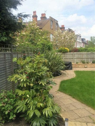  Image of Flat to rent at Creffield Road, London