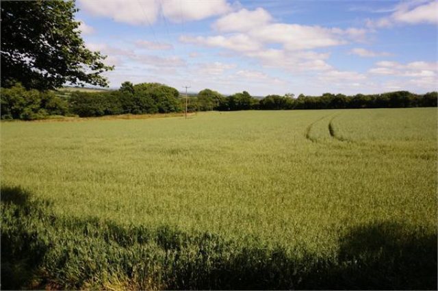  Image of 3 Bedroom Detached for sale at Gwelmeneth Park, St Cleer, Liskeard, Cornwall