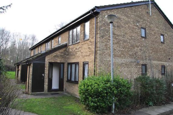 1 Bedroom Flat