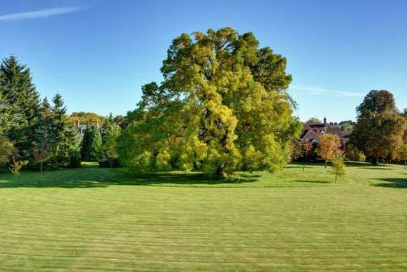 4 Bedroom Town House