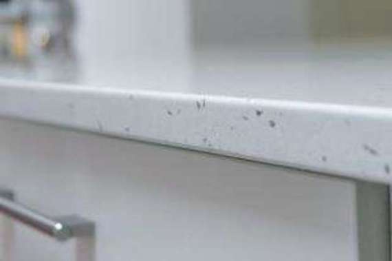 5&nbsp;Bedroom&nbsp;Detached