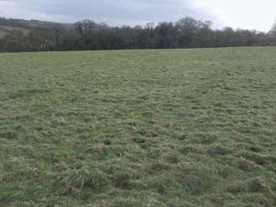 25.3 Acres (10.2 Ha) Coed y Pa...