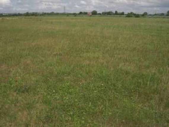 40 Acres (16 Ha) St. Brides We...