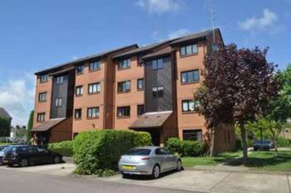 1 Bedroom Flat