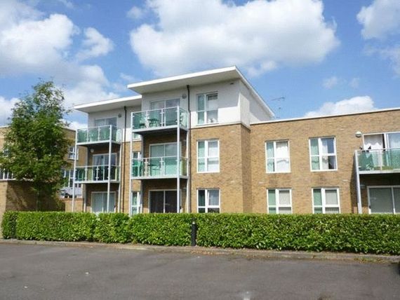 1 Bedroom Flat