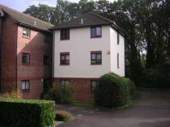 1 Bedroom Flat