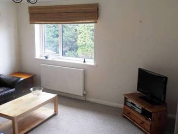 1 Bedroom Apartment