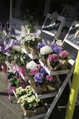 3&nbsp;Bedroom&nbsp;Detached