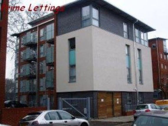 3 Bedroom Apartment