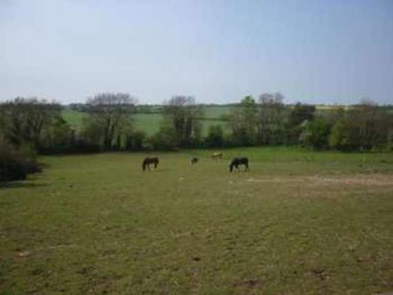 3&nbsp;Bedroom&nbsp;Detached