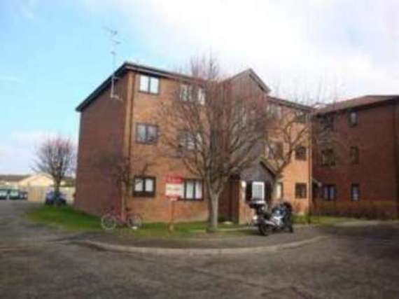 1 Bedroom Flat
