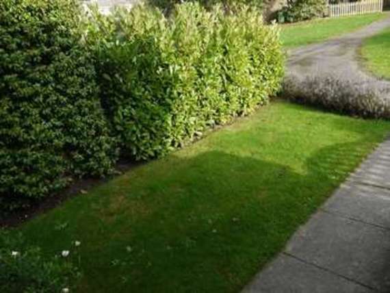 1 Bedroom Flat