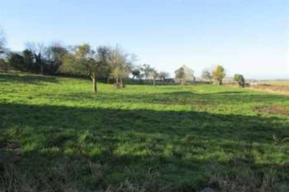 4&nbsp;Bedroom&nbsp;Detached