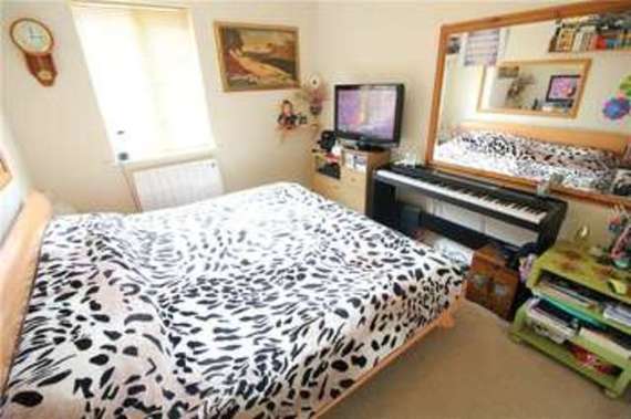 1 Bedroom Apartment