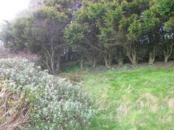 5&nbsp;Bedroom&nbsp;Detached