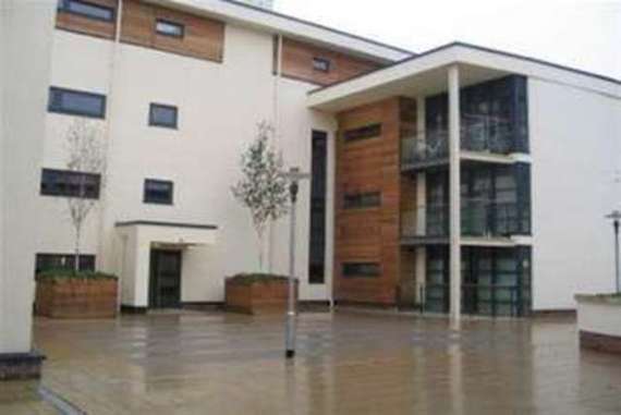 1 Bedroom Flat
