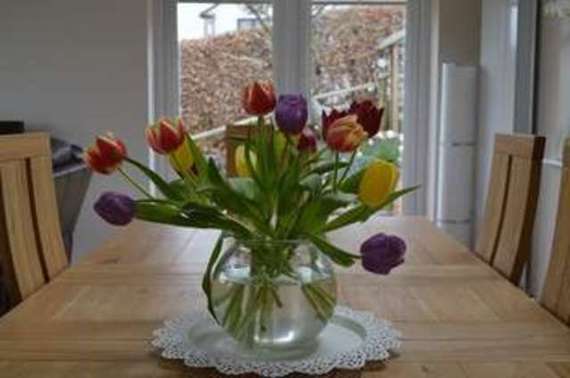 4&nbsp;Bedroom&nbsp;Detached